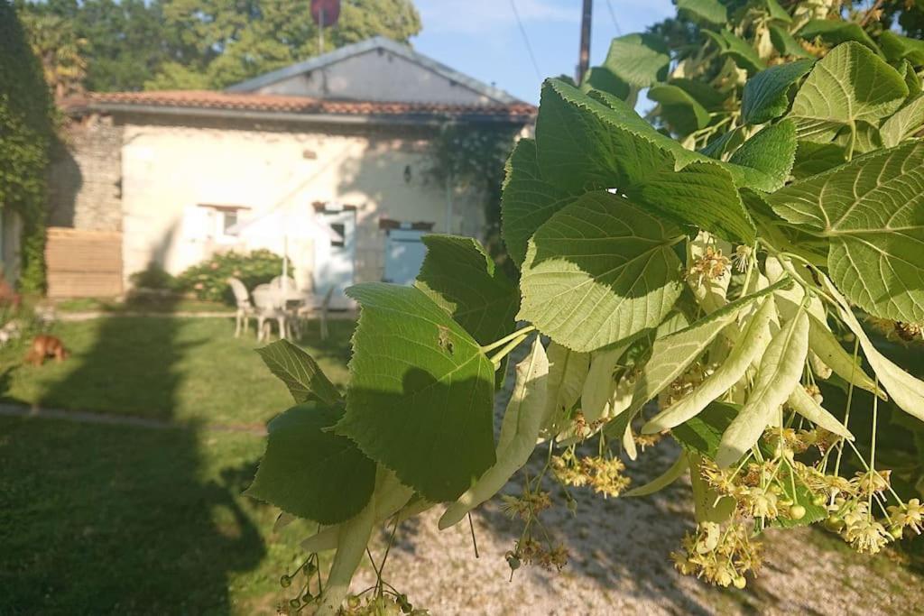 Entire Apartment With Swimming Pool Near Aubeterre Saint-Romain  Exterior foto