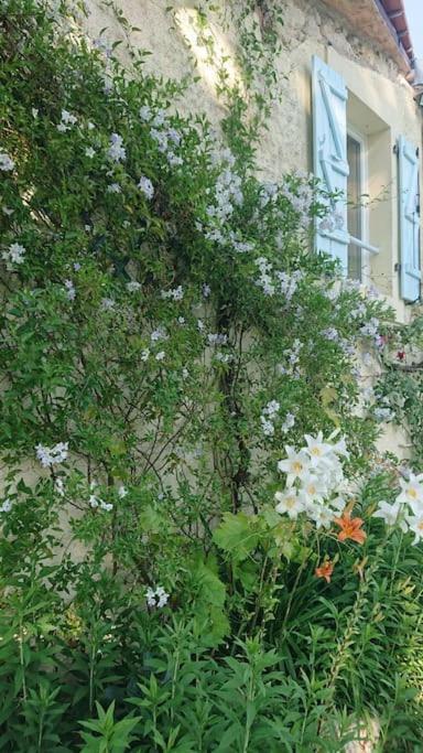 Entire Apartment With Swimming Pool Near Aubeterre Saint-Romain  Exterior foto